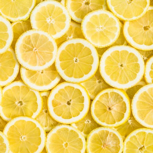 Lemon Cake or Cupcakes with Lemon Buttercream