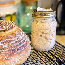 Load image into Gallery viewer, Sourdough Starter
